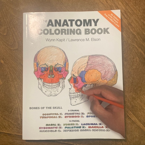 Barco Uniforms Other - The Anatomy Coloring Book 4th Edition